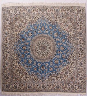 Persia nain 9F