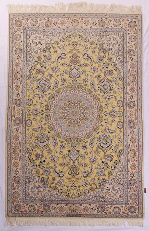 Persia nain Habibian