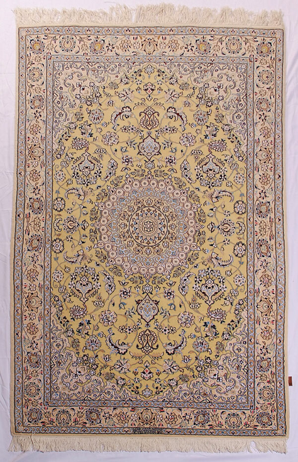 Persia nain Habibian