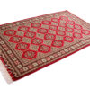 Kashmir orientale 152 x 92 cm - immagine 3